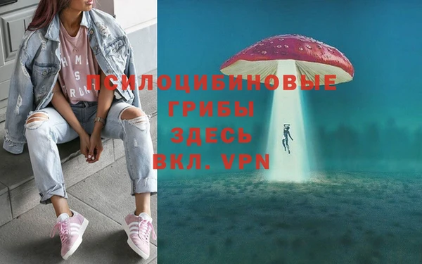 хмурый Волосово