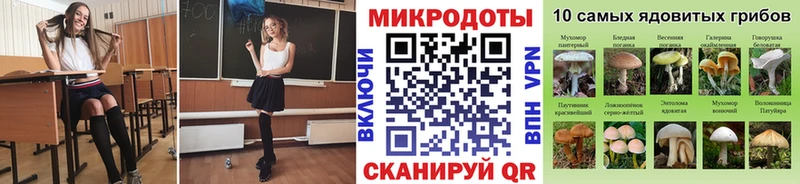 купить наркотик  ссылка на мегу ONION  Галлюциногенные грибы Cubensis  Зеленогорск 